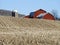 Harvested corn field with red vintage wood gambrel roof barn blue sky in upstate NewYork