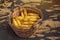 Harvested corn in wicker basket