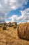 Harvested cornfield in the Provence