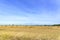 Harvested cornfield with straw bales under a bright blue sky.