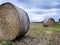 Harvested crops in farm field