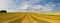 Harvested empty field on the hills