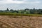 Harvested farmland with cornfields an potato fields