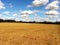 Harvested field