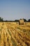 Harvested field with large round bales of straw in summer. Farmland with blue sky. Sheared stubble from harvested wheat.