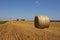 Harvested field with several rolled hay bales in Summer