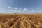 Harvested field with several rolled hay bales in Summer