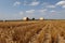 Harvested field with several rolled hay bales in Summer