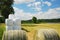 Harvested field with straw bales packaged