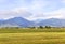 A harvested field in the Uymon Valley