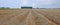 Harvested field, zeeland, holland