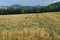 Harvested fields with Chartreuse mountain range