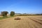 Harvested fields with farm machinery