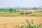 Harvested fields with straw stacks