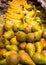 Harvested Fresh Colorful Pears and Bananas