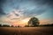 Harvested Gold Wheat field panorama with tree at sunset, rural countryside