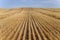 Harvested Grain Field