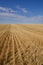 Harvested Grain Field Canadian Prairies