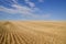 Harvested Grain Field Canadian Prairies