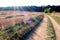 Harvested late summer grain field near Slavonice, Czech Republic, bohemian region