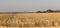 Harvested maize land in Potchefstroom, North West, South Africa.