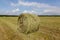 Harvested, mowed grass. Rolled-up hay.