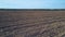 Harvested and plowed field lies fallow against forest