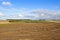 Harvested potato field in Autumn