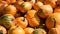 The harvested pumpkins from the farmer`s field are on the heap.