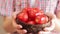 Harvested rustic tomatoes in a bowl in the hands of a woman