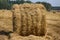 Harvested, straw rolled into rolls