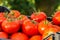 Harvested tomato in crate