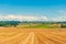 Harvested wheat field