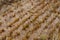 Harvested wheat field flooded after heavy rain in summer