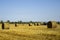 Harvested wheat field with large round bales of straw in summer. Tractor forming bales is visible background. Farmland