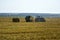 Harvested wheat field with large round bales of straw in summer. Tractor forming bales is visible background. Farmland