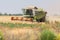 Harvester collecting wheat in summer