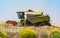 Harvester collecting wheat in summer