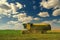 Harvester combine on a field of peas