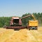 Harvester combine harvesting wheat and pouring it into tractor t