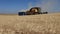 Harvester combine thrash wheat field