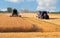 Harvester combine and tractor harvesting wheat on sunny summer day