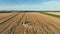 Harvester combine wheat drone aerial view during harvesting harvest tractor cereals cuts crop Triticum aestivum field