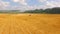 Harvester Combine Working In The Field