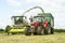 Harvester cutting field, loading Silage into a Tractor Trailer