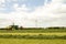 Harvester cutting field, loading Silage into a Tractor Trailer