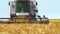 Harvester drives slowly through field of wheat, cutting yellow stalks. Combine harvester works in field, collecting