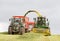 Harvester forager cutting field, loading Silage into a Tractor Trailer