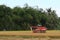 A harvester harvests rice during the first rice harvest of 2021 in Hoi An, Vietnam