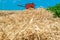 Harvester harvests ripe wheat on yellow rural field on a summer sunny day. Landscape of an endless agricultural field, blue sky